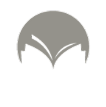 Frame 2147240836